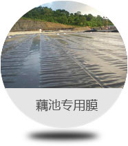 藕池專用膜 